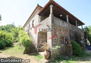 imagem_11