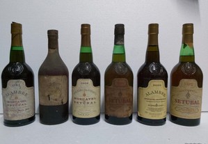 6 garrafas de Moscatel de Setúbal