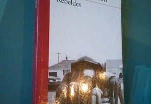 Rebeldes (versão em castelhano) - Susan E. Hinton
