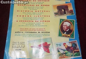 imagem_2