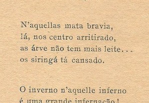 imagem_7