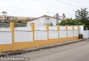 imagem_11