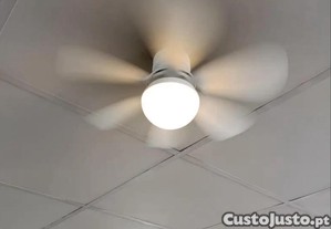 imagem_6