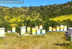 Enxames e ncleos de abelhas 2025