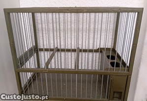 imagem_7