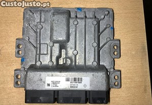 imagem_1