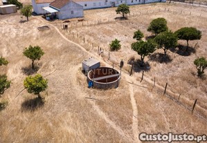 imagem_30