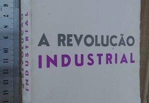 A revolução industrial - Max Pietsch