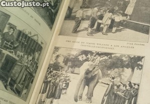 imagem_4