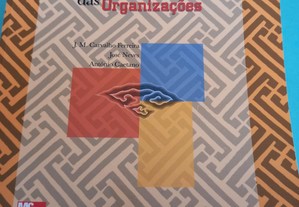 Manual de Psicossociologia das Organizações