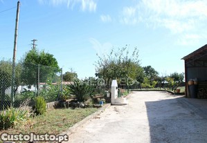 imagem_20
