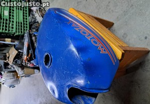 imagem_3