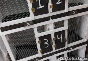 imagem_1
