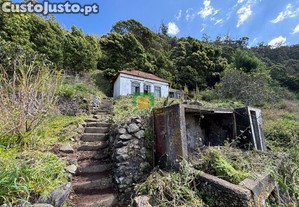 imagem_10
