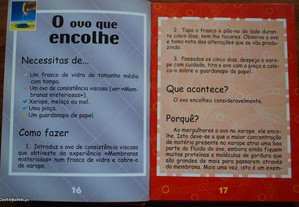 imagem_6
