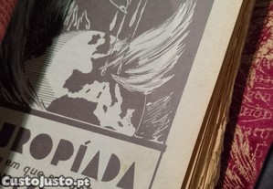 imagem_9