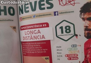 imagem_7