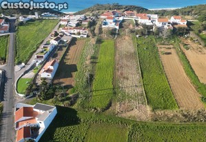 imagem_7