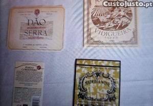 imagem_8
