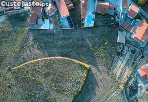 imagem_11