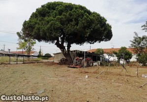 imagem_31
