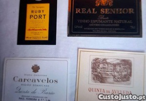 imagem_5