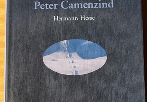 Peter Camenzind, Hermann Hesse