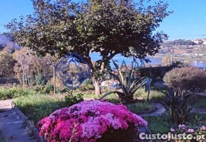 imagem_34