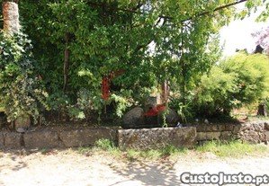 imagem_8