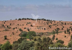 imagem_23