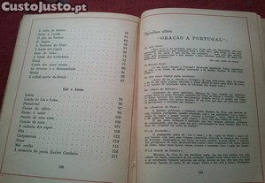 imagem_7