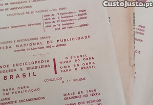 imagem_7
