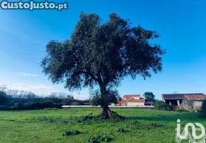 Terreno para constru��o em Valen�a, Cristelo Covo e Ar�o