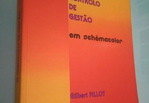 O controlo de gestão em schëmacolor - Gilbert Pillot
