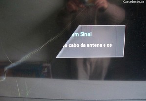imagem_7