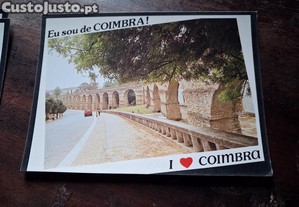 imagem_5
