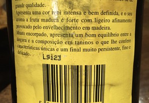 imagem_3