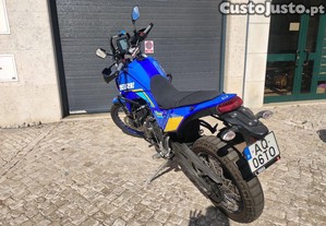 imagem_3