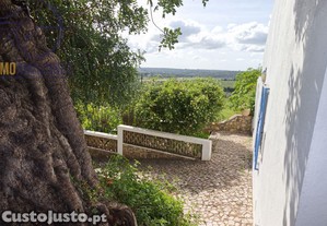 imagem_16