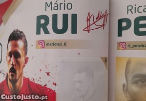 imagem_6