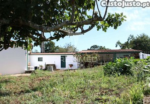 imagem_12