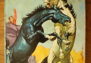 Fúria - O Cavalo Ladrão
