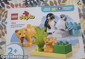 imagem_1