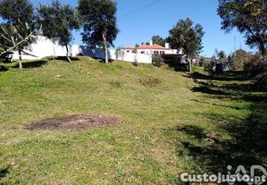 imagem_31