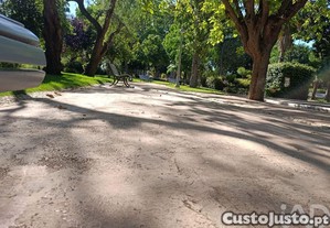 imagem_20