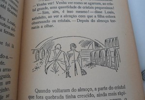 imagem_7