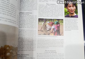 imagem_6
