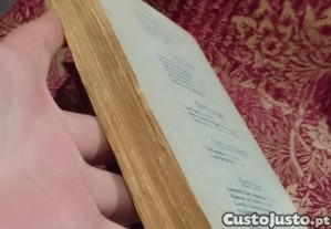 imagem_7