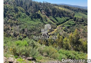 Terreno em Demieiro c/ ruínas
