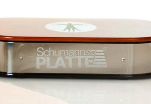 Schumann 3D Platte Medical Vibration Platform